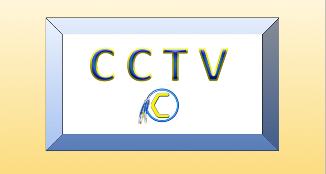 CCTV Logo